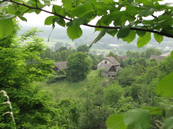 zdjecie Babice