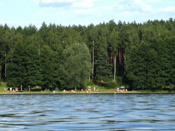 Urokliwa plaża na skraju lasu
