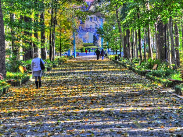 zdjecie Kudowa-Zdrój