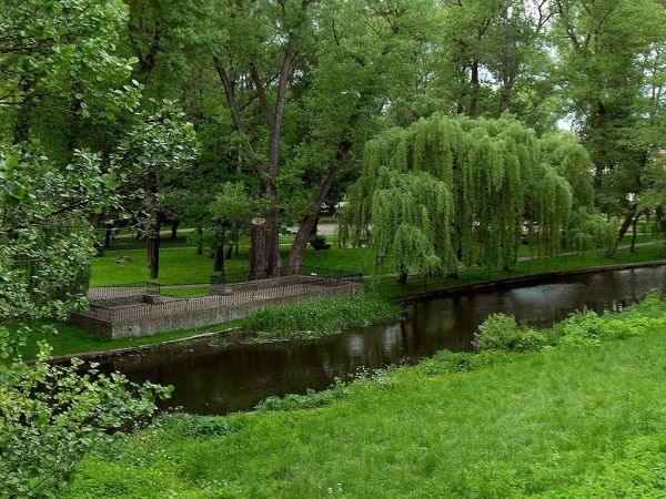 W Starogardzkim Parku nad Wierzycą