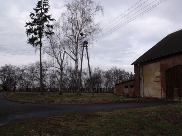 Wieś Kwiatoniów - opolszczyzna