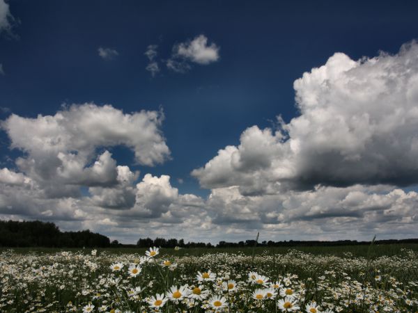 zdjecie Tyniewicze Duże