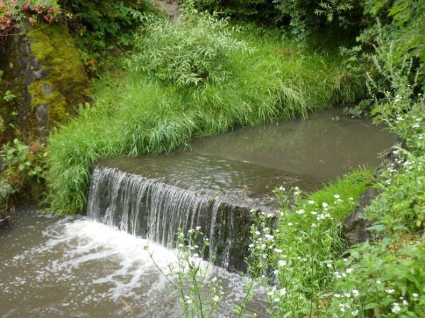 Potok Płowiecki - n/z próg widoczny z mostu na ul. Konarskiego.