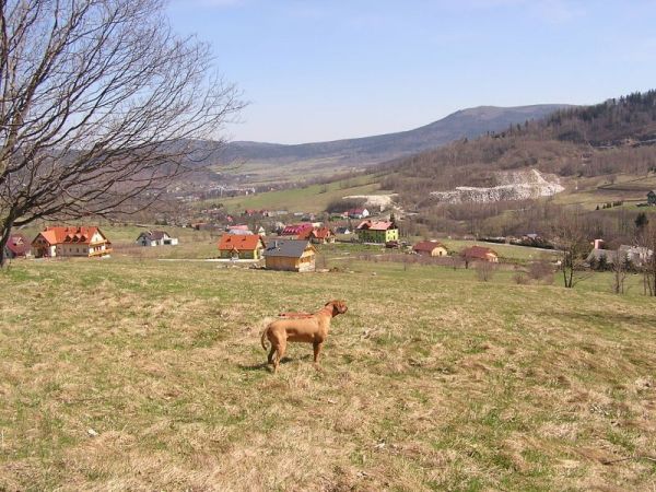 Osiedle słoneczne Stronie Śl. Wieś