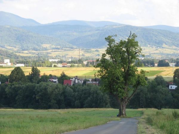 zdjecie Pietrzykowice