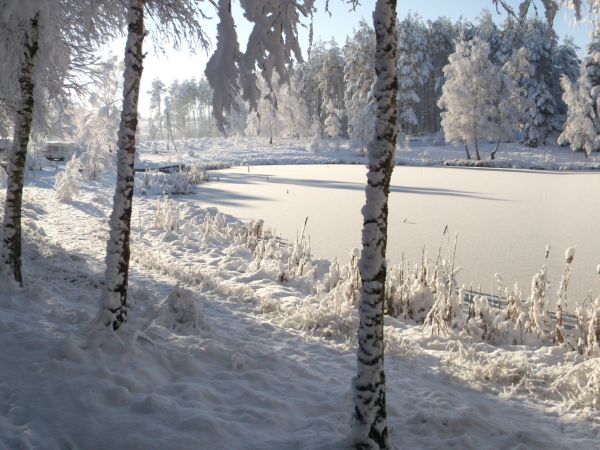 Zima w WIeczornych Mgłach