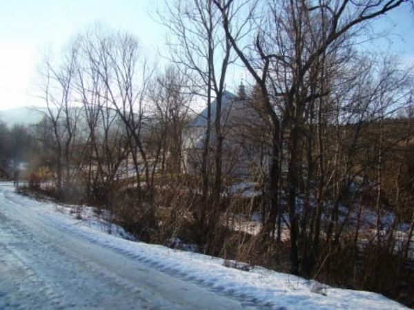 W roku 1693 Łopienka już słynęła z pięknej kaplicy i obrazu, z którego cuda płynęły, od 1700 roku była najważniejszym miejscem kultu maryjnego w tej części Karp