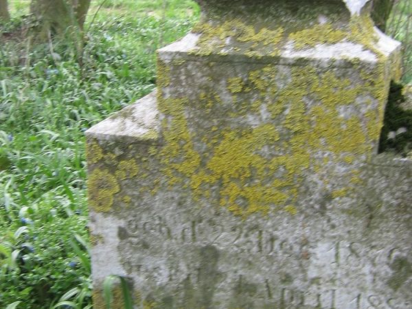 Najstarszy zachowany pomnik