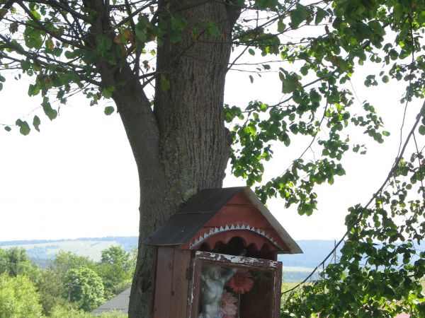 kapliczka przydrożna /szafkowa/ z krzyżem z nieistniejącej dziś miejscowej cerkwi - w centrum wsi.