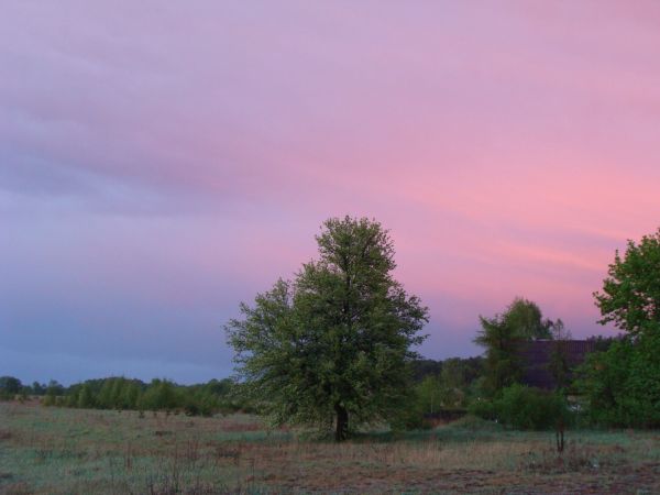 zdjecie Długosiodło