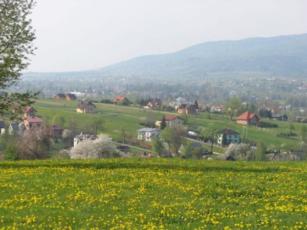 zdjecie Pietrzykowice
