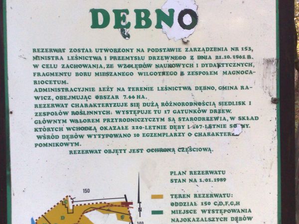 Rezerwat  "Dębno"