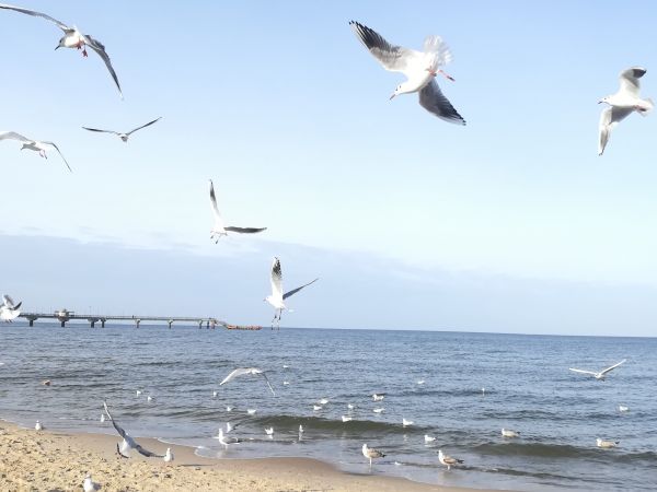 Międzyzdroje -  ferie luty 2020