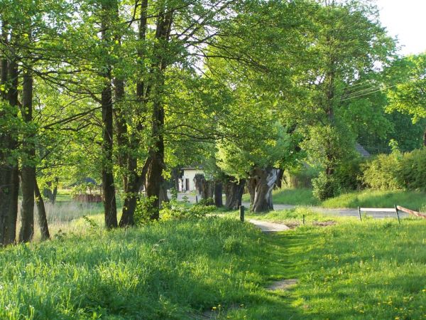 Szteklin , przy remizie