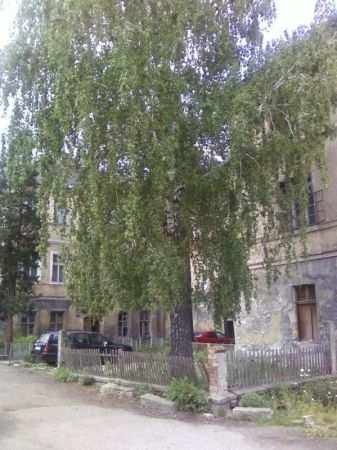 Do pałacu przylega park z pięknym starodrzewem. Przedwojenne przewodniki zwracały uwagę na znajdujące sie w parku stare rzeżby oraz mauzoleum,po którym nie ma p