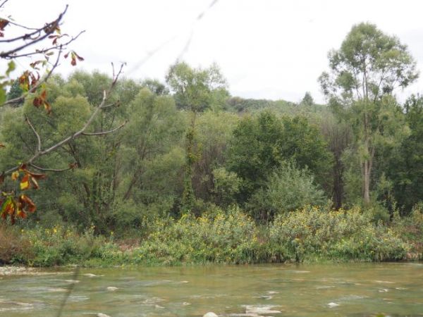 rzeka Osława - u stóp wzgórza klasztornego.