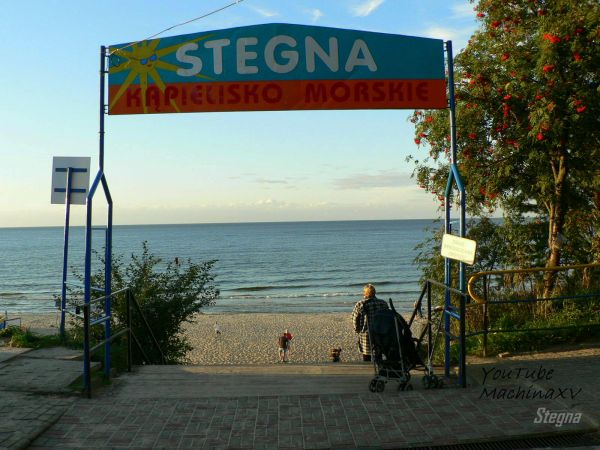 zdjecie Stegna