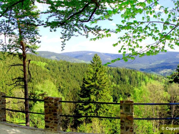 Widok z góry iglicznej