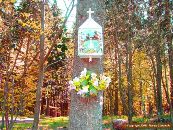 zdjecie Góra Igliczna