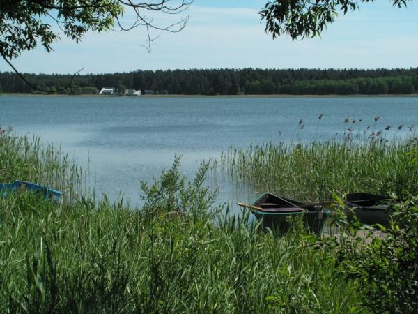 Jezioro Dreństwo od strony wsi Rybczyzna