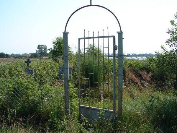 Stare mogiły na wzgórzu obok zalewu.