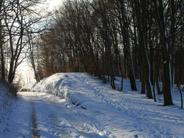 Gniezno, ul. Spokojna