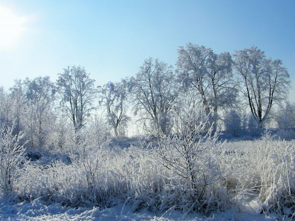 Wałbrzych moje piękne miasto.
