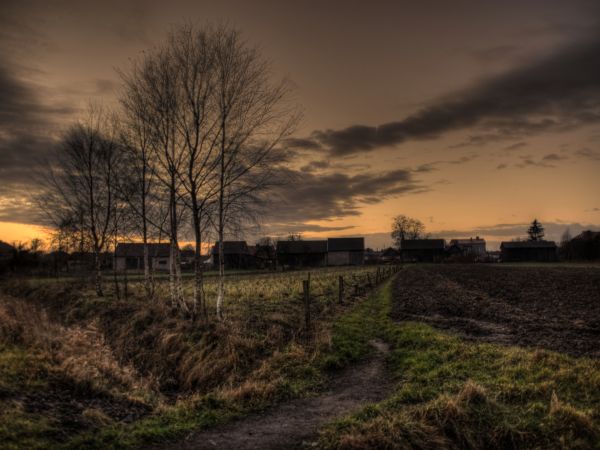 Widok na gospodarstwa-Przyrów 2009