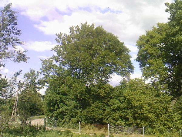 PŁACHTY TO NAJPIĘKNIEJSZA MIEJSCOWOŚĆ NA ŚWIECIE