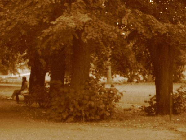 Park Zamkowy w Szamotułach