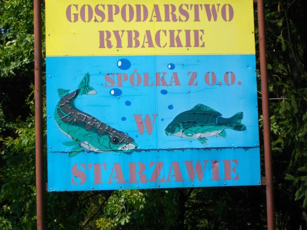 zdjecie Starzawa