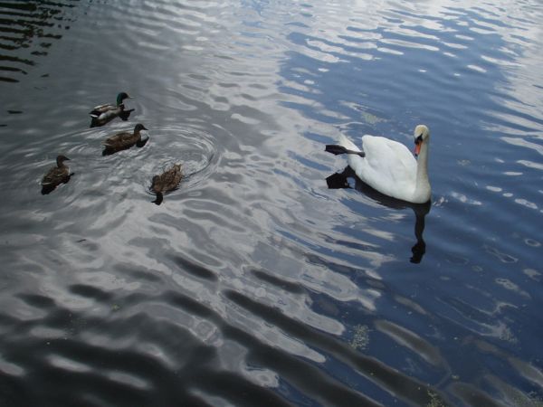 Żona na gnieździe a ja mam wolne.