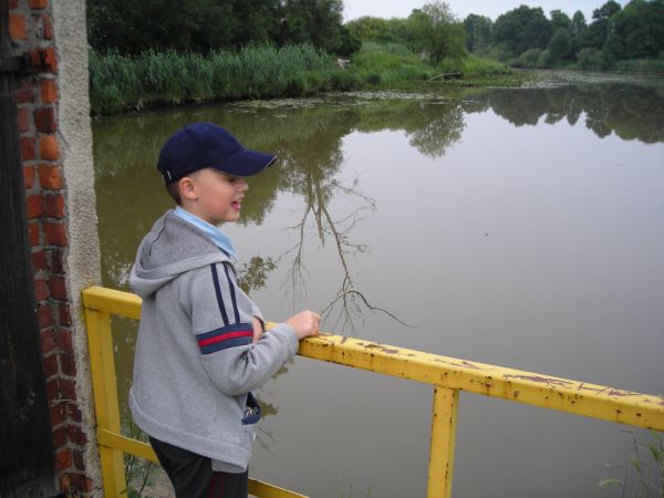 Widok na Barycz przed tamą w Sławoszowicach.