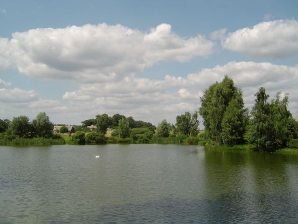 Widok na miejscowy staw