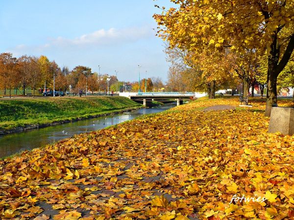 Jesień w Będzinie