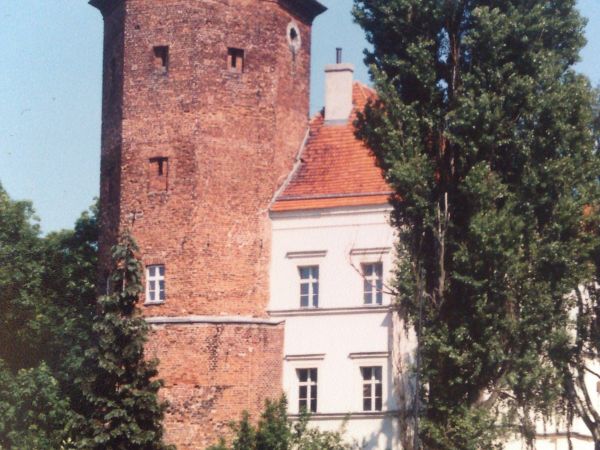 Zamek z pierwszej połowy XIV wieku, wybudowany przez Maćka Borkowica, murowany z cegły, tynkowany z wyjątkiem wieży.