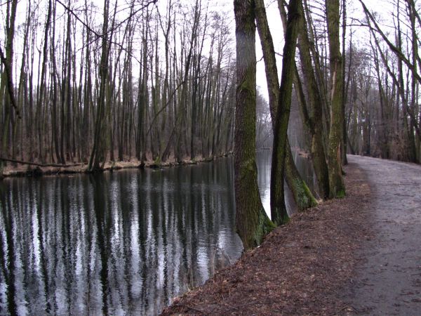 Krajobrazowy rezerwat przyrody Niebieskie Źródła leży w dolinie rzeki Pilicy