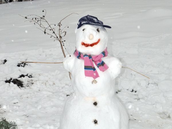 Bałwan wodzisławski