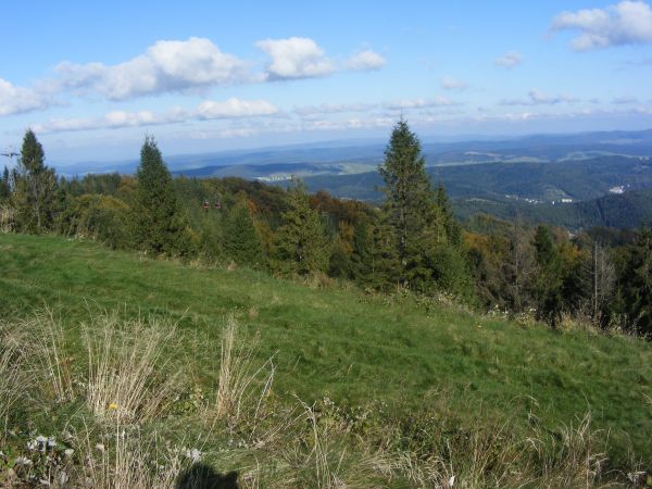 Widok z Jaworzyny Krynickiej