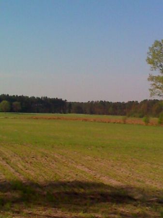 zdjecie Niwki Książęce