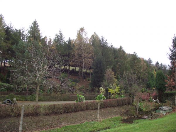 centralnie na zdjęciu : ciek wodny bo projektant ogrodu wykorzystał spływający ze zbocza potok - Pielnica się nazywa - i jego wody wzbogacają zasoby trzech staw