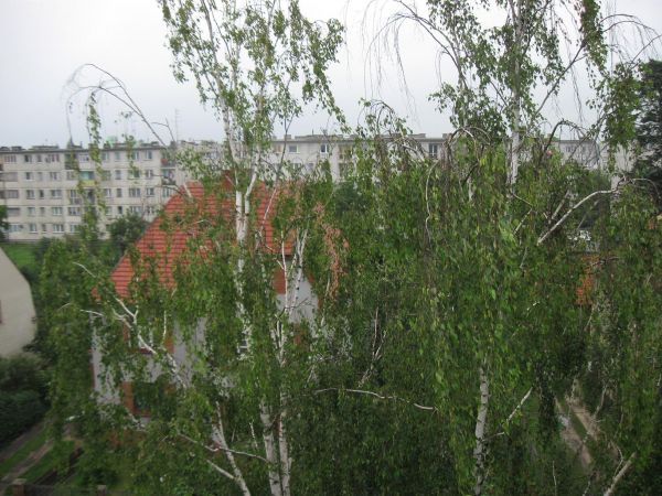 Widok na ul. Kościuszki z bloku przy Roweckiego.