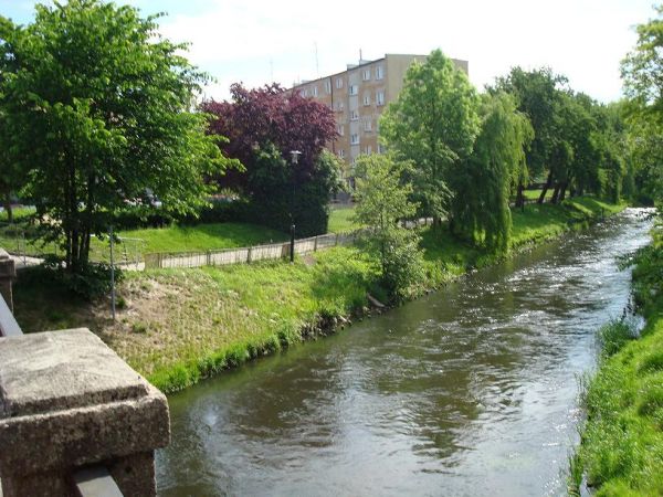 Rzeka Łeba widok z mostu przy ul. Armii Krajowej