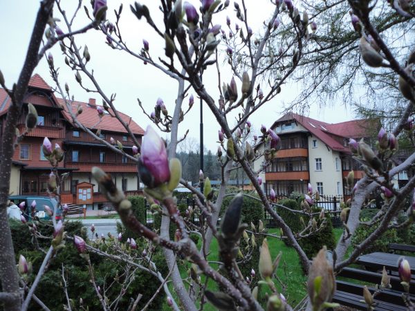 zdjecie Świeradów-Zdrój