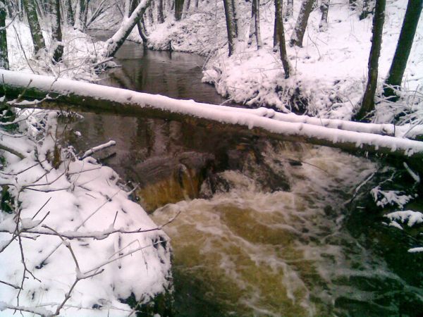 ...chwilami rzeka przypomina górski potok. Cóż,urok Kaszub. Mamy tu rzeki, lasy, jeziora i góry- Polska w pigułce.