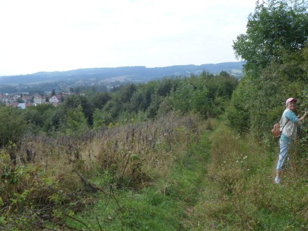 powyżej czołgowiska, za bunkrem z Linii Mołotowa przejście wąwozem na odkrytą wierzchowinę - widok na : po lewej fragment Osiedla Błonie a hen Stróżowskie Wierc