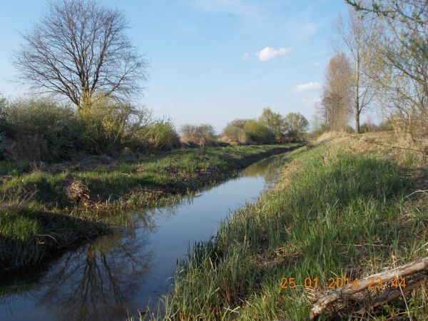 Kanał-Strumień powoli płynie i rozkwita wiosną .