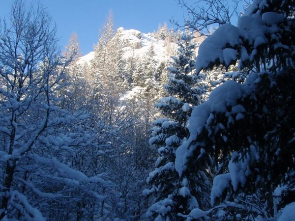 zdjecie Zakopane