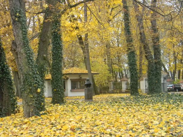 Zespół pałacowo-parkowy 03 listopada 2011