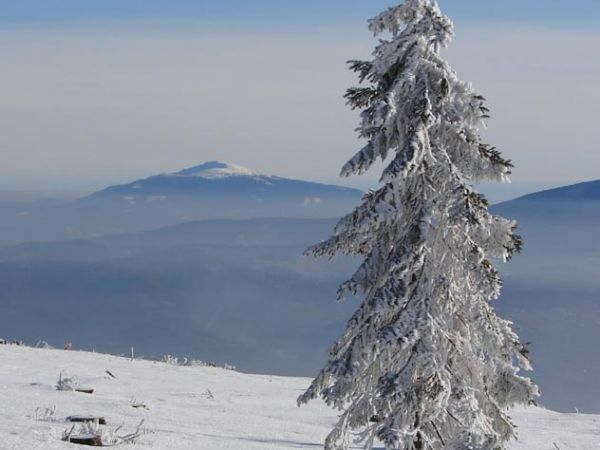Pod szczytem Baraniej
(po wycięciu lasów - idealny teren na Back Country)